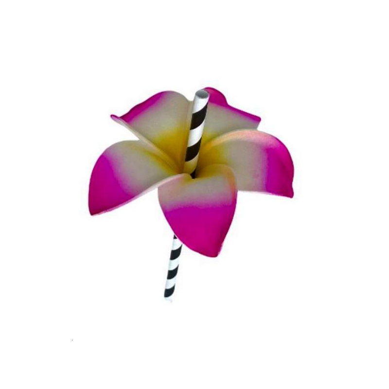 300 pailles noire/blanche + fleurs
