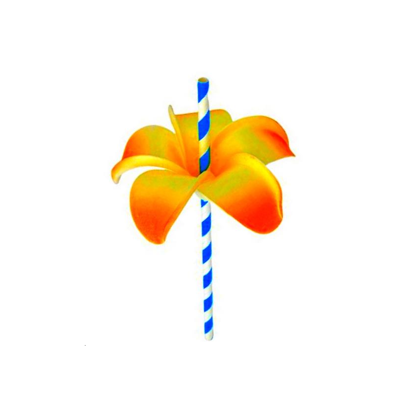 300 Fleur  6 coul + paille papier 