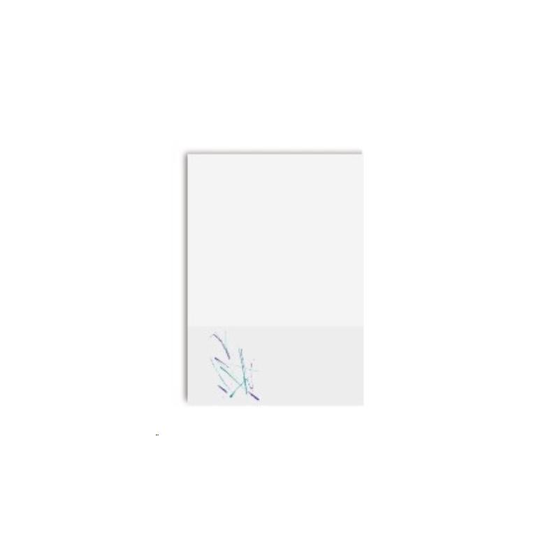 SERVIETTES MINI SERVIS ECOLABEL 1 P