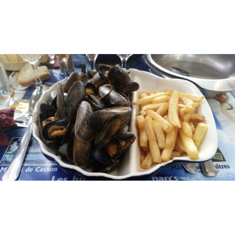 6 Coquilles à moule frite