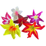300 PCS GRANDES FLEURS pique 15 cm